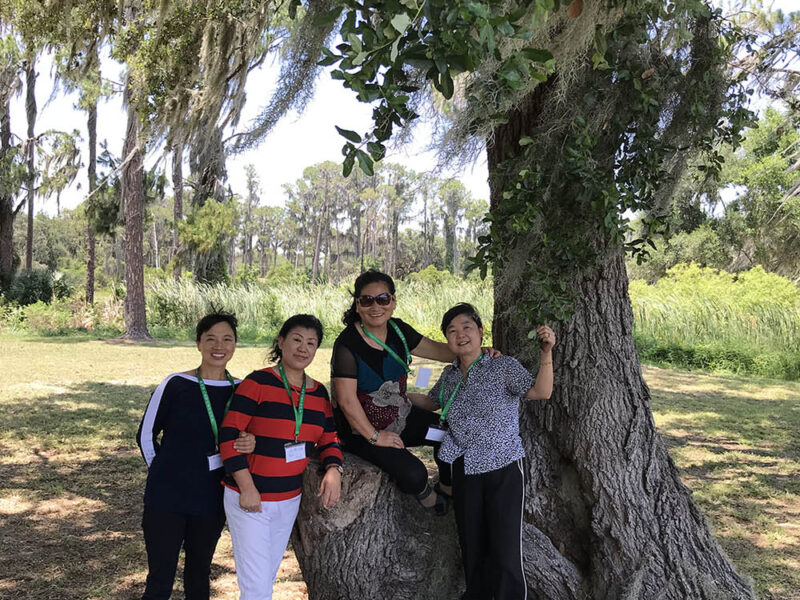 磐石华人基督教会 磐石华人基督教会